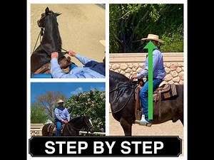 How to Ride a Horse for Beginners (Step by Step)