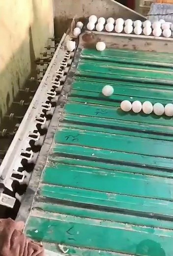 Automatic egg size sorting Machine 2022 | Technology and Innovation 2022 | Innovative zilla #shorts