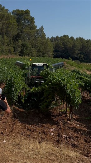 172K views · 952 reactions |  Our trimmer EASY CUT LITE in action...