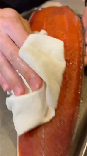 Elevate your brunch game with homemade lox using our wild Alaskan salmon! It’s all about that fresh flavor and perfect cure. Want to get your hands on salmon this fresh? Be sure to pre-order from our November Pop-Ups! We will be in Tucson, Phoenix, San Diego, and Las Cruces and you won’t want to miss it! 🐟 Check out the link in our bio to visit our website and make that order! #SalmonSeason #LoxRecipe #salmon #seafood #willbrossalmonco #recipe #food #wildcaught #familybusiness | Willbros Salmon