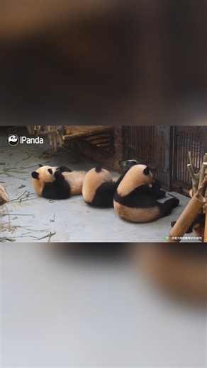 7.5K views · 1.4K reactions | Being jealous? My summer routine is...