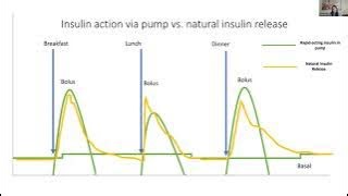 2024 DiSH A La Carte: Insulin Pump Basics
