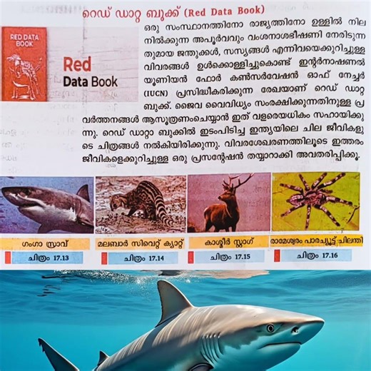 റെഡ് ഡാറ്റാ ബുക്ക് # RED DATA BOOK @SCERT2025