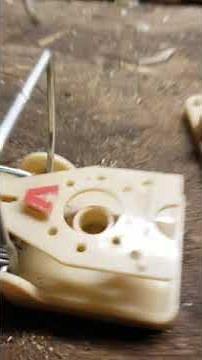 Victor power kill mouse trap set-up and review