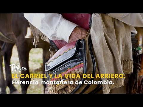 The Carriel and the Life of the Muleteer: Colombia's Mountain Heritage – TvAgro by Juan Gonzalo A...