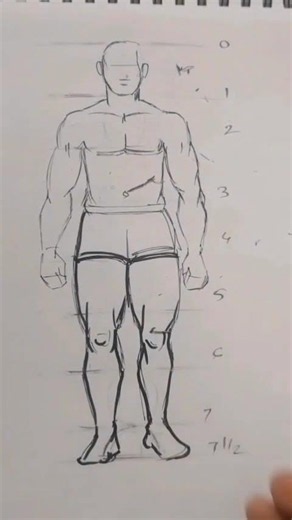 Human Body Proportions Made Easy | Anatomy Drawing for Beginners #animeart #anatomy #art#shorts