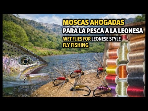 ¡Predator Fly está emitiendo en directo!