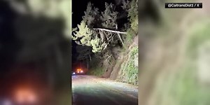 Rock slide causes trees to topple onto a highway