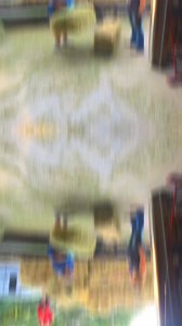 Thanks for the amazing help today putting up hay! thanks to the Ross', Denise, Jennifer, Stephanie, Colette & Brittany! | 2nd Hand Ranch & Rescue Princeton Illinois