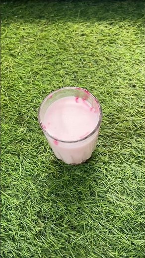 Coconut Milk |Nariyal Doodh | Homemade Coconut Milk |Vegan milk |Dairy Free Milk recipe