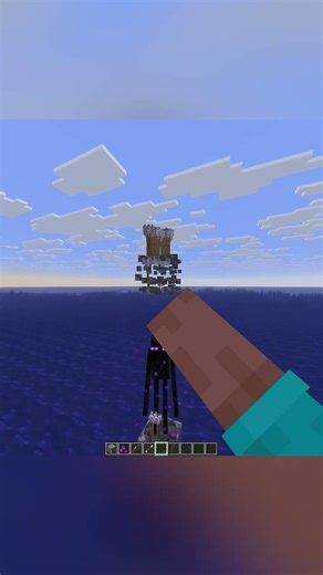 Enderman Dodging Arrows in One Block | Minecraft