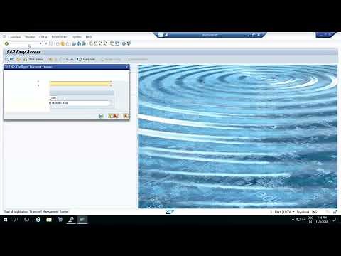 SAP Transport Management System (STMS) - How to Import/Export TR
