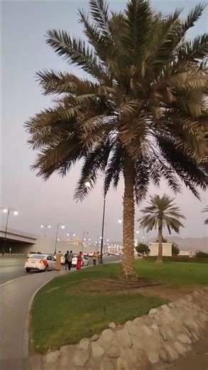 “Muscat Evenings Hit Different 😍 #shorts #muscat #trending #ytshorts