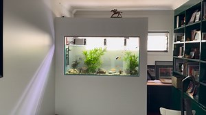 39 shares · 3 comments | ️ Another day, another happy customer! We build custom fish tanks and also provide full maintenance services to keep your aquarium crystal clear. Ready for your dream setup? Contact us today! ✨ #FishyAquarium #CustomAquariums #AquariumMaintenance #AquariumService #happycustomer | What's Fishy? | Facebook