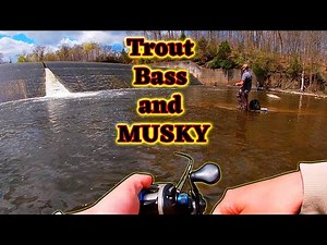 Pa Spring Fishing for TROUT, BASS and MUSKY