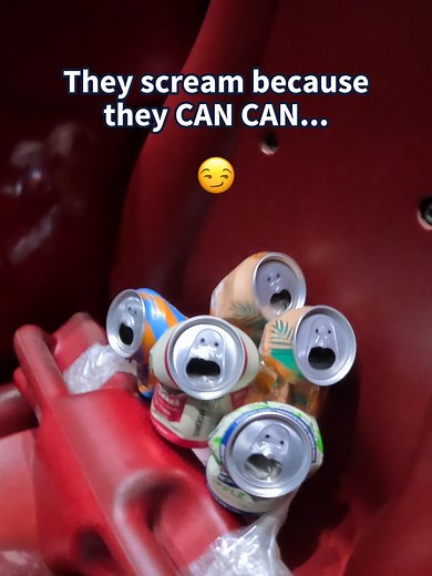 Experience the CANs on Eurosat Coaster