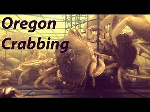 How to Catch Big Crab - Crabbing in Florence Oregon