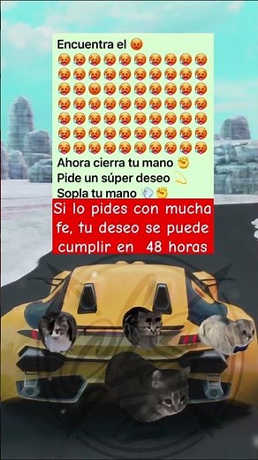 May your wish come true, Bro🩷