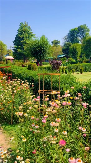 118K views · 2.7K reactions | Beautiful #Pahalgam #nature #activities #explore | Beauty of Pogal Paristan | Facebook