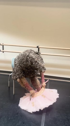 Mischievous Mouse Tries on Tutu During Swan Lake Rehearsals!