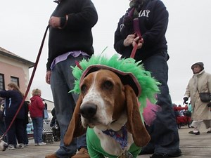 More Details About This Year's Doo Dah Parade in Ocean City