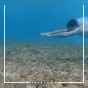 2.5K views · 152 reactions | ¿Te conoces esa playa de memoria? #NecesitasAruba para conocer la tercera mejor playa del mundo, según Trip Advisor https://goo.gl/BBdVSj | Aruba | Facebook