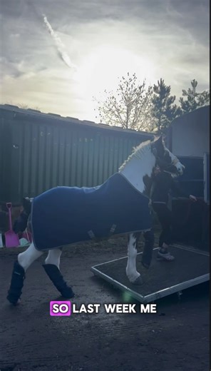 My First Pony Show Experience! 🐴✨