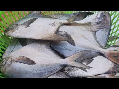海師傅海鮮叫賣 台中市潭子區復興路二段98號 04/29