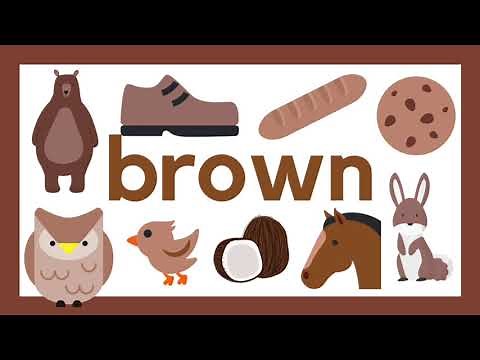 BROWN | Learn About Colors | Learning Colors | The Color Brown | Run Play Have Fun