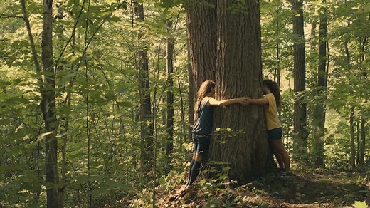 Porcupine Lake (2017)