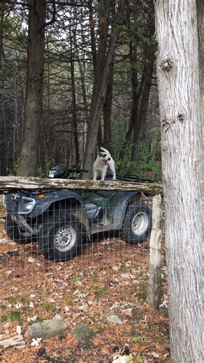 Don’t make me wait, come on! Come on! Come on! | Susan Foley