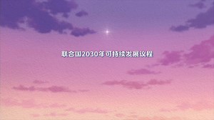 联合国2030年可持续发展议程the United Nations 2030 Agenda for Sustainable Development