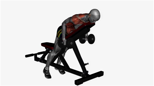 Prone Bench Row Dumbbells