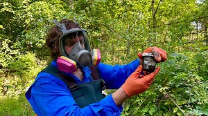 Independent tests show major rise in dioxin levels in East Palestine