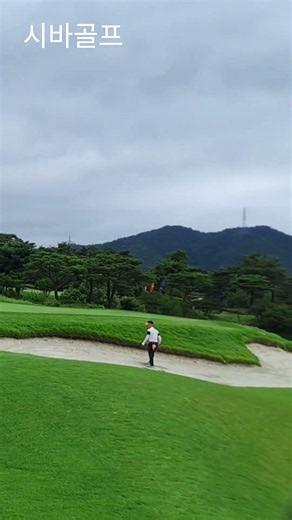 시바골프 #파인힐스