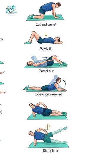 Guide to Low Back Pain Exercises. #exercisetherapy