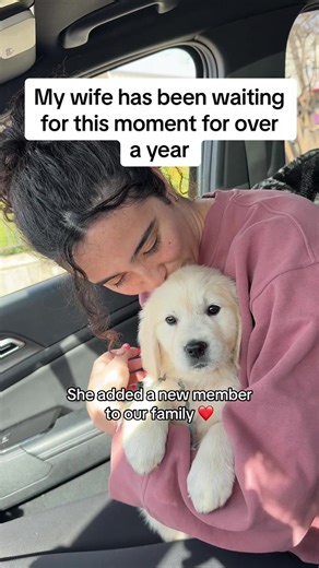 Meghan's Journey: Training Our New Puppy Chilly