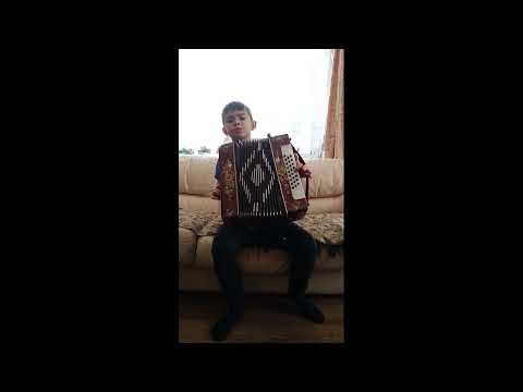 чебурашка на гармошке