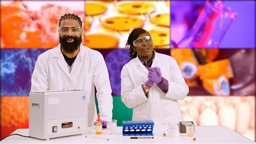 How does temperature affect the rate of decay? - Biology practicals: Video playlist - BBC Bitesize