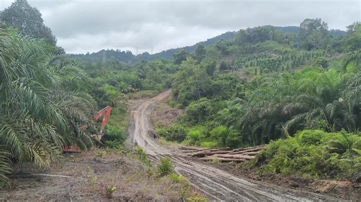 Truk Logging Sarawak yang Menghibur