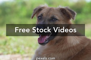 girl%2Bplaying%2Bwith%2Bherself