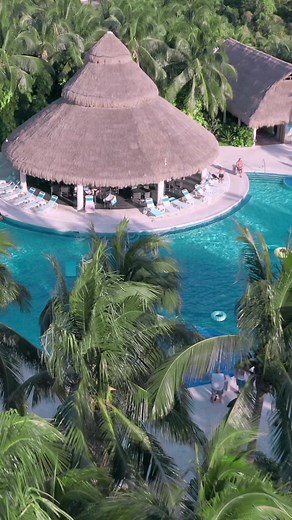 17K views · 211 reactions | Life is a party @paradisebeachcozumel...