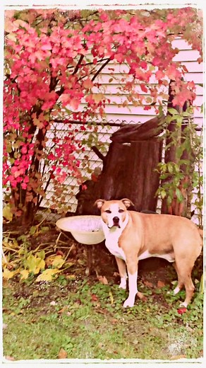 Jake Jacobs on Reels