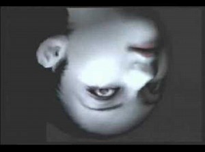 Fatal Frame II: Falling Woman