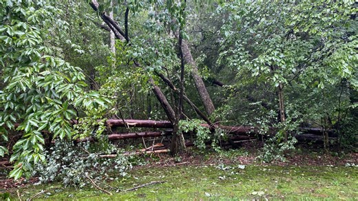 Power restored at parts of Fall Creek Falls State Park after storm damage
