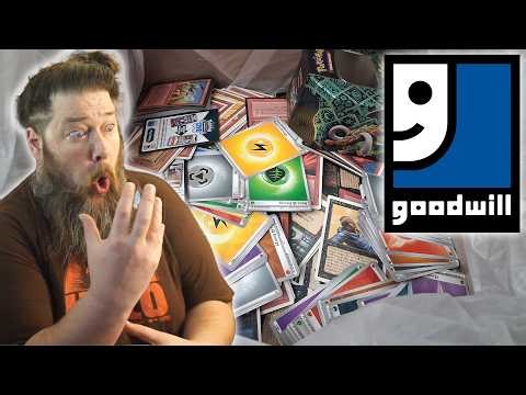 This Collection Makes No Sense, so I Bought It