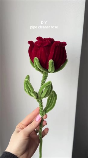 You asked for a slow, detailed tutorial on this pipe cleaner rose🌹 Hope this helps 🤍 @@Polina #diy #rose #tutorial #giftidea #pipecleaner