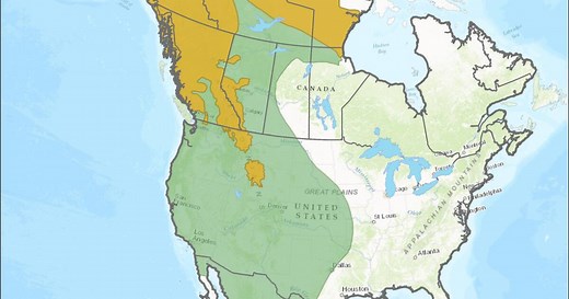 Timeline: A History Of Grizzly Bear Recovery In The Lower 48 States
