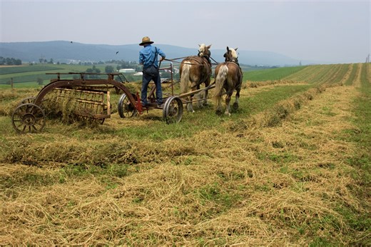TLC's 'Suddenly Amish' features Texas natives seeking a simpler life