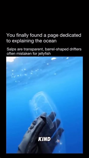 Zach Lyons on Instagram: "Give that thing a real go 🤌🏼 #cmahhhnnn"